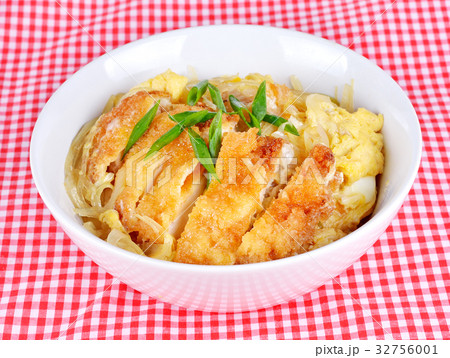 japanese cuisine, pork cutlet and egg on rice japanese cuisine, pork cutlet and egg on rice 32756001