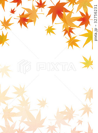 もみじ　紅葉　テクスチャー　背景素材 32756231
