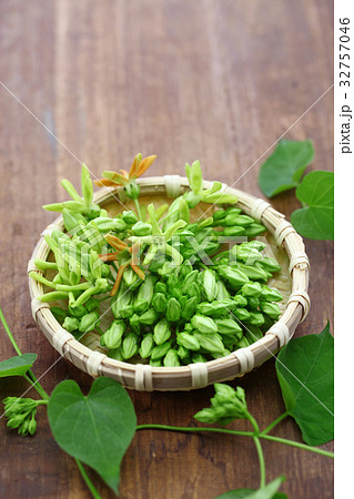 イエライシャン 32757046