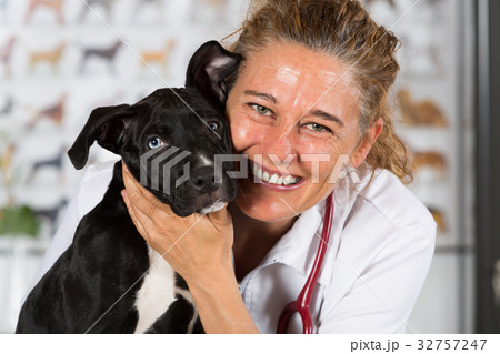 Vet with his dog American Staffordshire Vet with his dog American Staffordshire 32757247