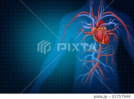 Cardiology And Cardiovascular Heart Concept 32757946