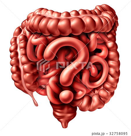 Digestion Question 32758095