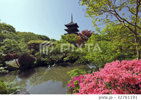 5月 ツツジの東寺 京都の世界遺産 の写真素材