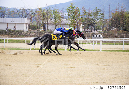 果川市 京畿道 キョンギド 32761595