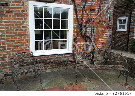 Dry creeper branches of climbing plant on a window 32761917