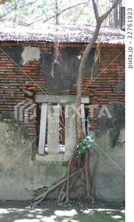 Tree House Window , Tainan , Taiwan 32761923