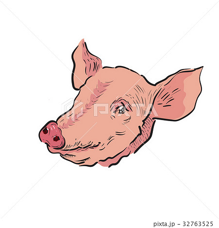 Color Sketch pig 32763525