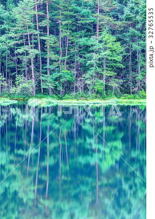 深緑の御射鹿池 32765535