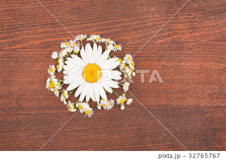 Sun with rays from chamomile. Concept. 32765767