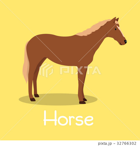 Horse animal illustration design  32766302