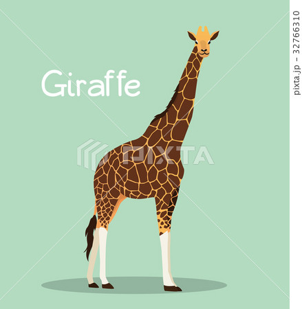 A Tall Giraffe Illustration Design のイラスト素材