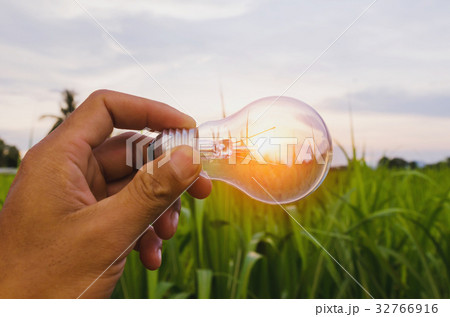 hand hold light bulb sunset power energy concept 32766916