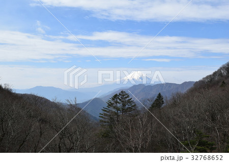 雁ヶ腹摺山より富士山方向 雁ヶ腹摺山より富士山方向 32768652