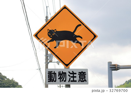 動物注意 ねこ 動物注意 ねこ 32769700