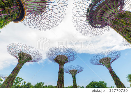 Singapore landmark of gardens by the bay Singapore landmark of gardens by the bay 32770780