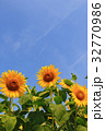 ひまわり　夏　イメージ 32770986