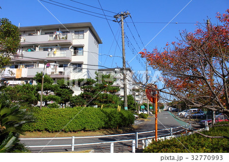 若松団地 32770993