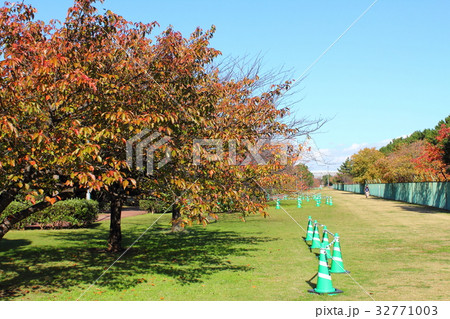 若松団地 32771003