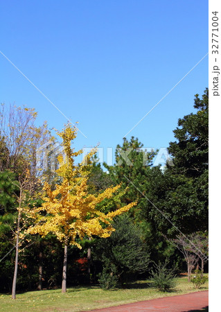 若松団地 若松団地 32771004