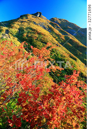 朝日を浴びる谷川連峰・白毛門と紅葉 32771696