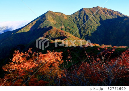 谷川連峰・白毛門から見る笠ヶ岳と朝日岳稜線 谷川連峰・白毛門から見る笠ヶ岳と朝日岳稜線 32771699