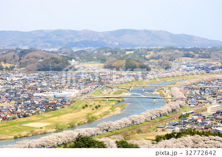 船岡城址の桜 32772642
