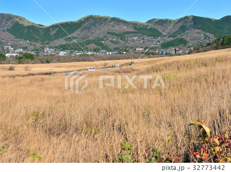 箱根仙石原-37241 32773442