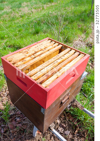 Open hive, beekeeping Open hive, beekeeping 32773505