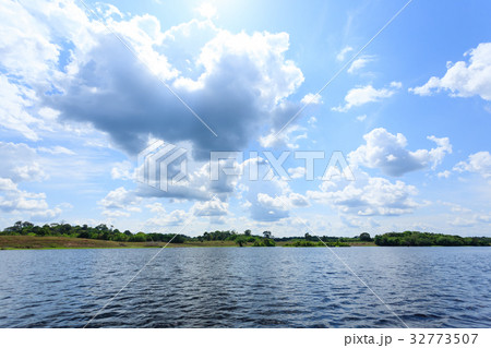 Panorama from Amazon rainforest,Brazilian wetland 32773507