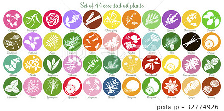 Big set of 44 flat essential oil labels. White 32774926