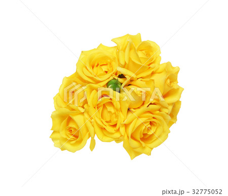 薔薇の花束 薔薇の花束 32775052