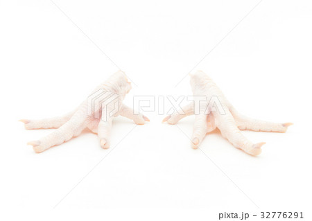 鶏脚（もみじ）:Chicken feet 32776291