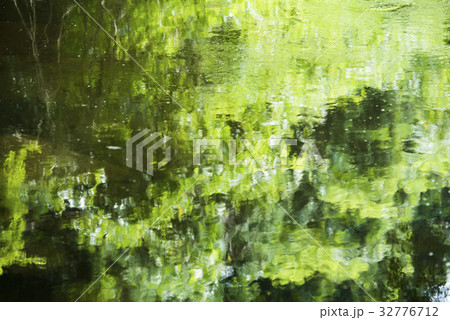 水面に映る新緑 水面に映る新緑 32776712