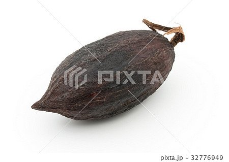 カカオポッド: cacao pod 32776949