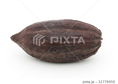 カカオポッド: cacao pod 32776950
