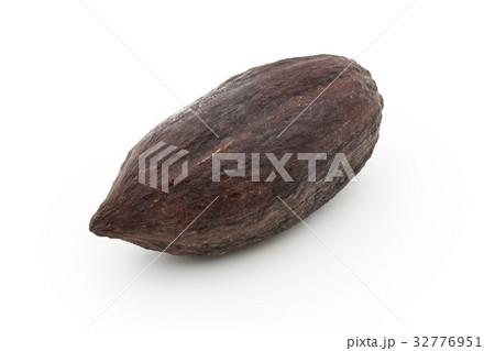 カカオポッド: cacao pod 32776951