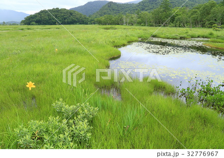 夏の尾瀬ヶ原 池塘 夏の尾瀬ヶ原 池塘 32776967