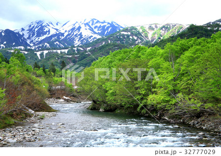 新緑の銀山平 32777029
