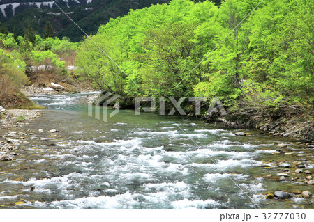新緑の銀山平　 32777030