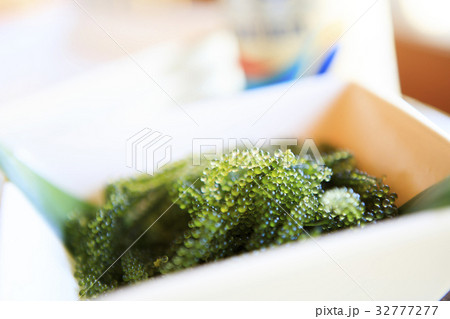 海ぶどう 32777277