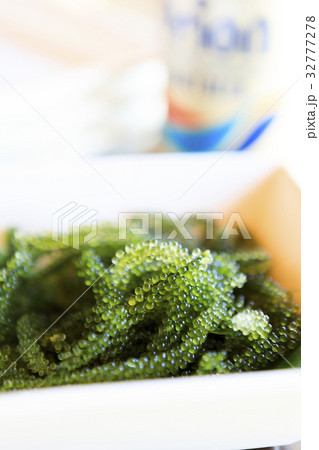 海ぶどう 海ぶどう 32777278