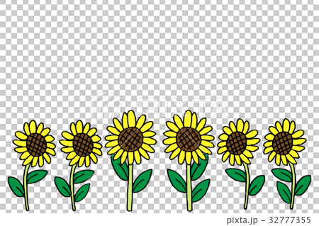 Sunflower background summer 32777355