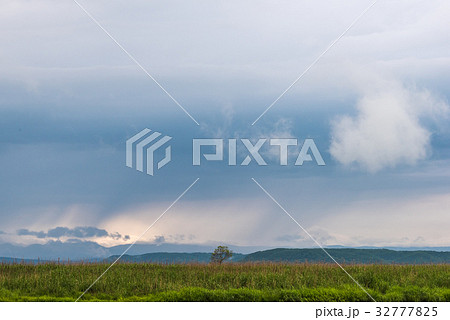 雨が止んだ夏の湿原13 32777825