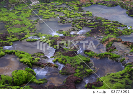 チャツボミゴケ公園 穴地獄 チャツボミゴケ公園 穴地獄 32778001