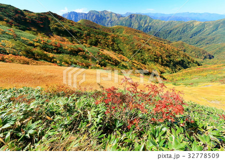 紅葉の朝日岳稜線から望む谷川連峰 紅葉の朝日岳稜線から望む谷川連峰 32778509