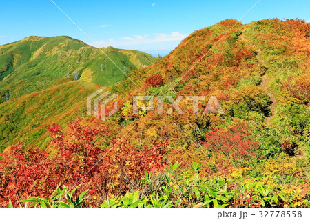 上越国境・清水峠と七ツ小屋山の紅葉 上越国境・清水峠と七ツ小屋山の紅葉 32778558