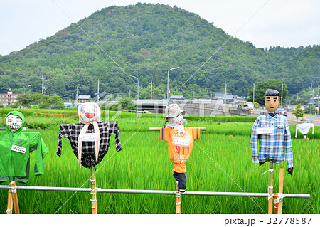 猪名川町　田園の案山子 32778587