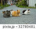 田代島の猫 32780481