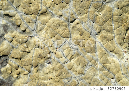 海辺の岩の模様 32780905