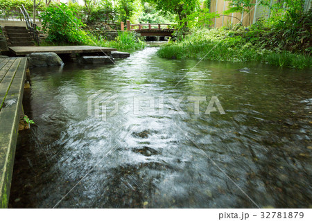 三島・源兵衛川 32781879